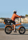 ENGWE EP-2 Boost E-Bike