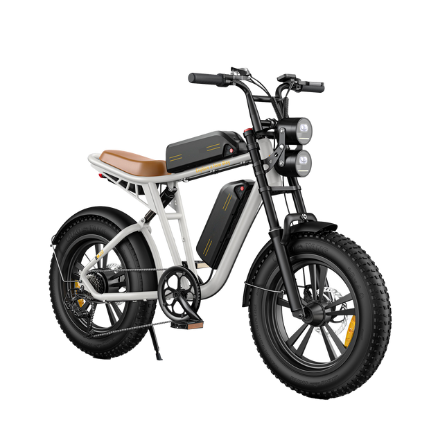 Bicicleta eléctrica estilo motocicleta M20