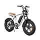 Bicicleta eléctrica estilo motocicleta M20
