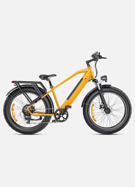 Bicicleta eléctrica E26