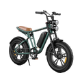 Verde-Bicicleta eléctrica estilo motocicleta M20