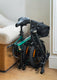 ZIP Folding Electric Bike